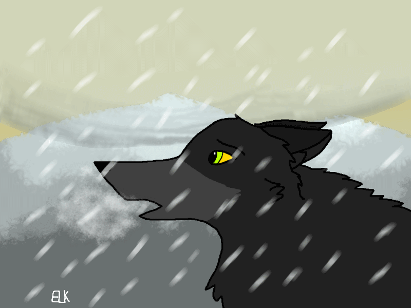 Darn snow...