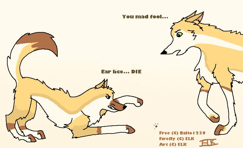 Ear Lice O_O