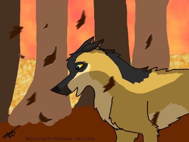 Trade with Disaster ^^
