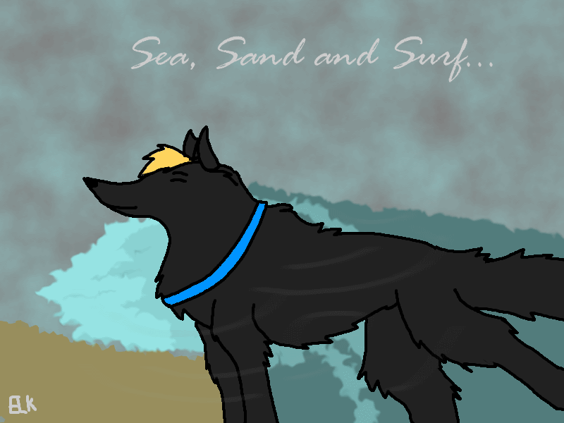Sun, Sand and Surf