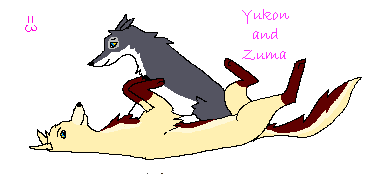 Yukon and Zuma- PA snippet