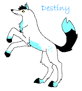 Destiny for the PA