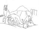 Balto 4 front