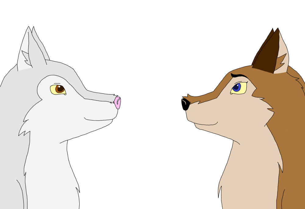 Nao et Aleu