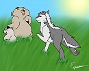 Après la traversée 2