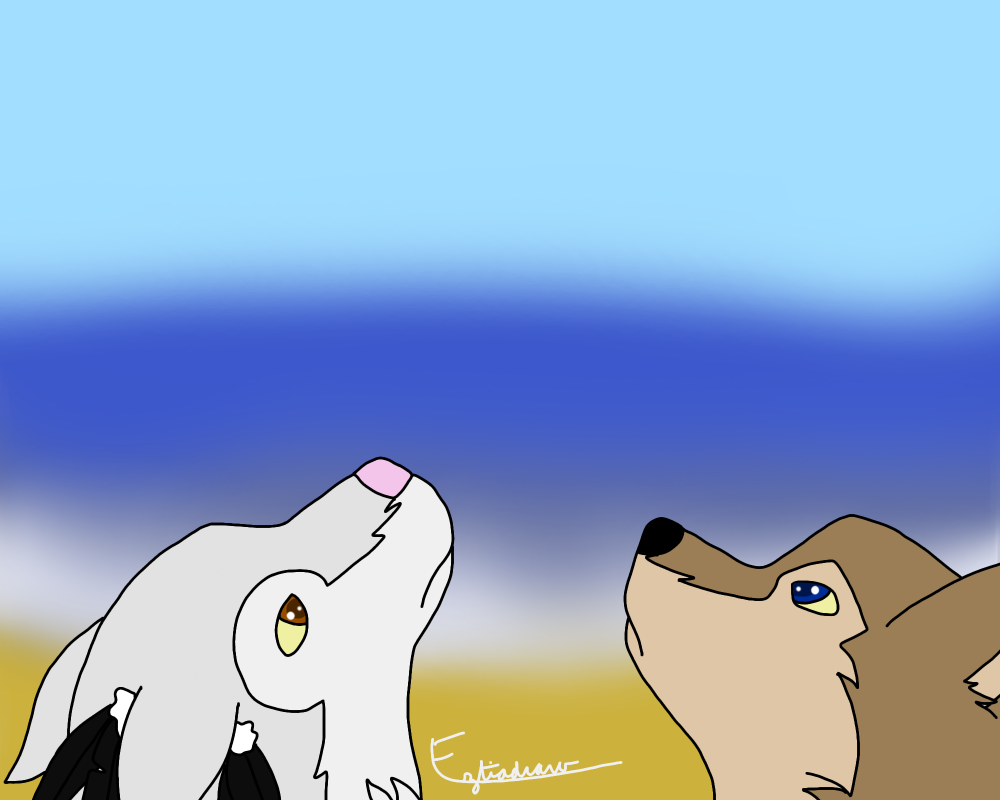 Après la traversée 4