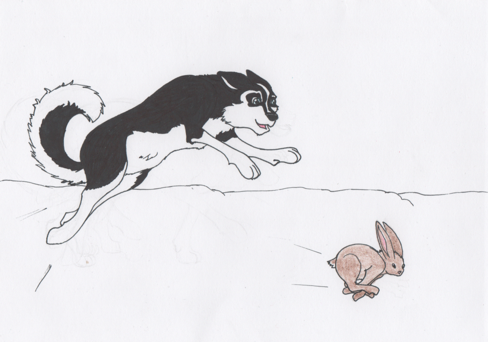 Petite chasse