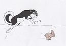 Petite chasse