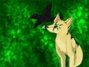 BogDog and Raven