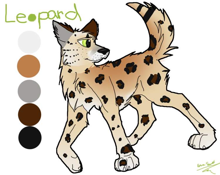 Leopard