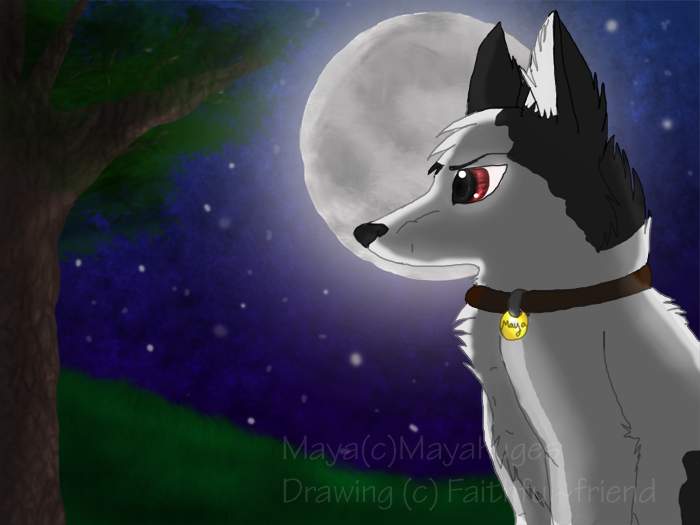 Star gazer