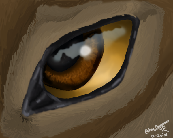 A Hero's Stare