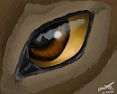A Hero's Stare