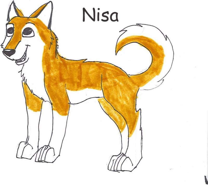 Nisa