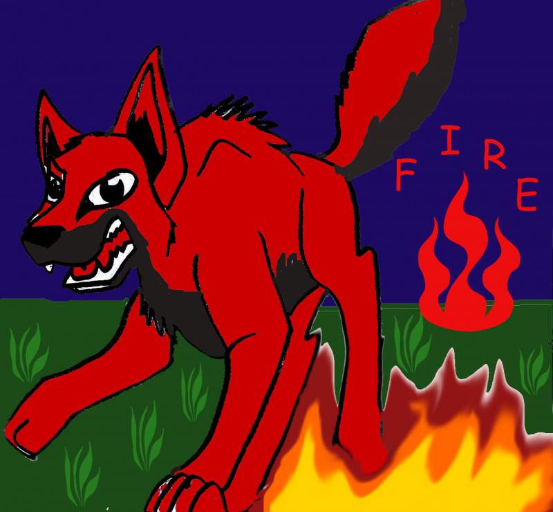 FIRE!!!!!!!!!!! >:)