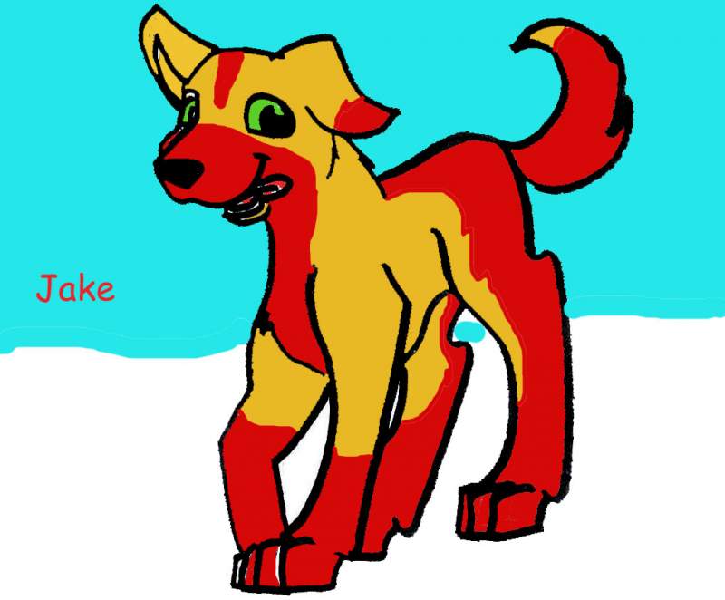 Jakey