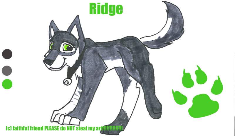  Ridge