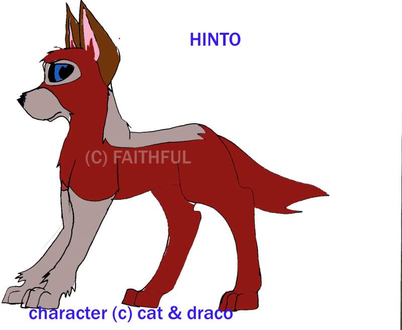 Hinto