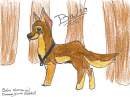Balto