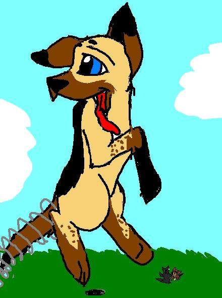 What happens when you put a spring on my tail?