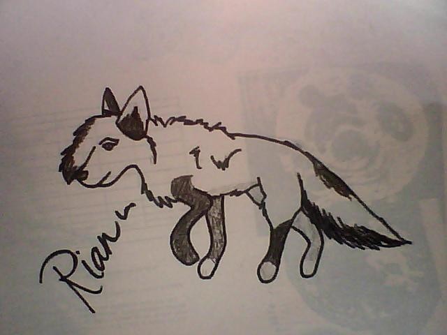 RIAN~