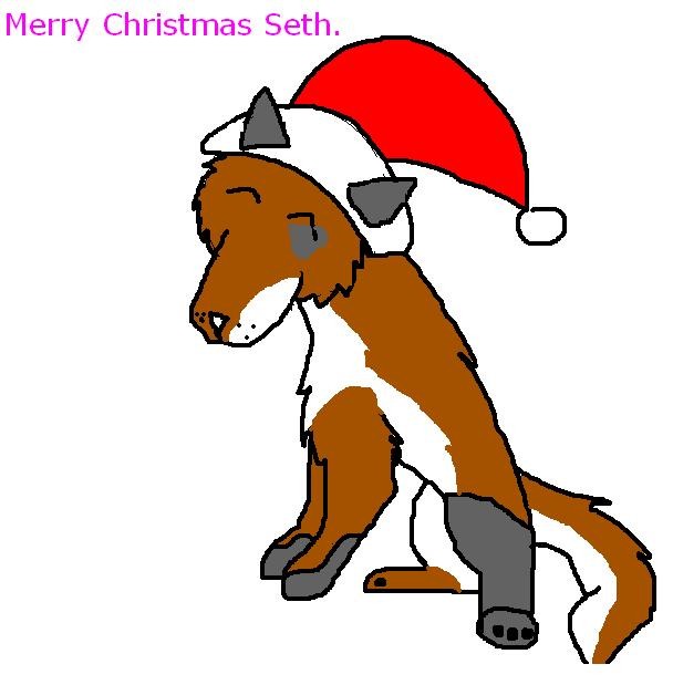 Merry Christmas Seth(: