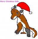Merry Christmas Seth(: