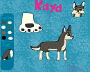 Kaya 2013 ref sheet