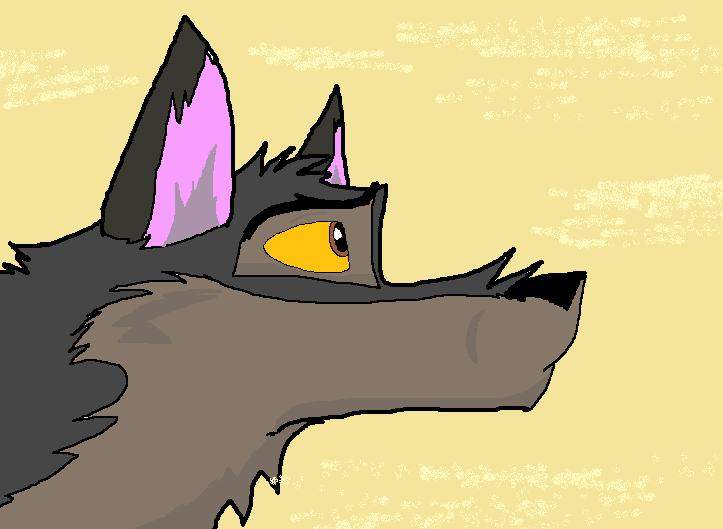 Balto