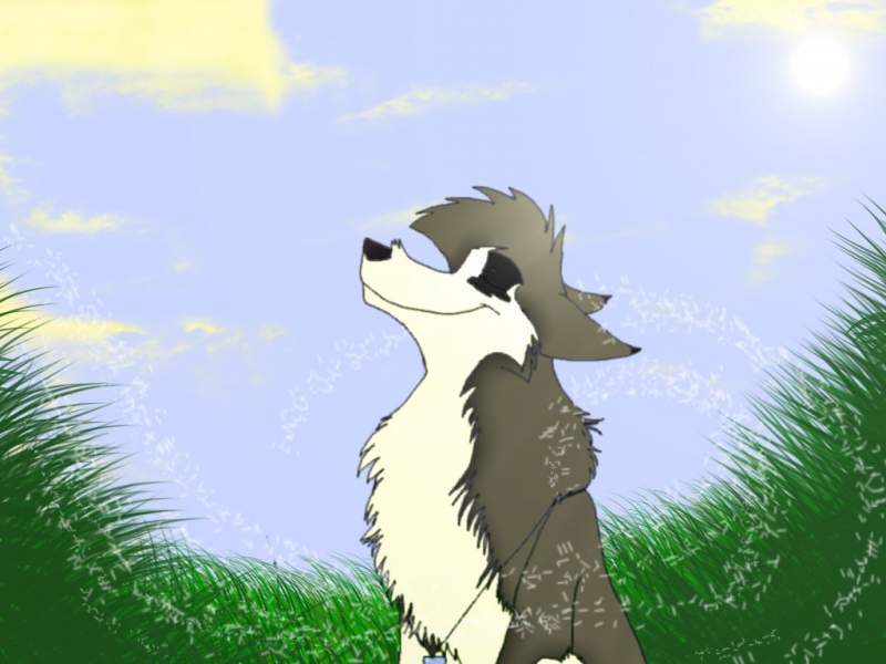 Yade, The Leader of the Gaurdians.