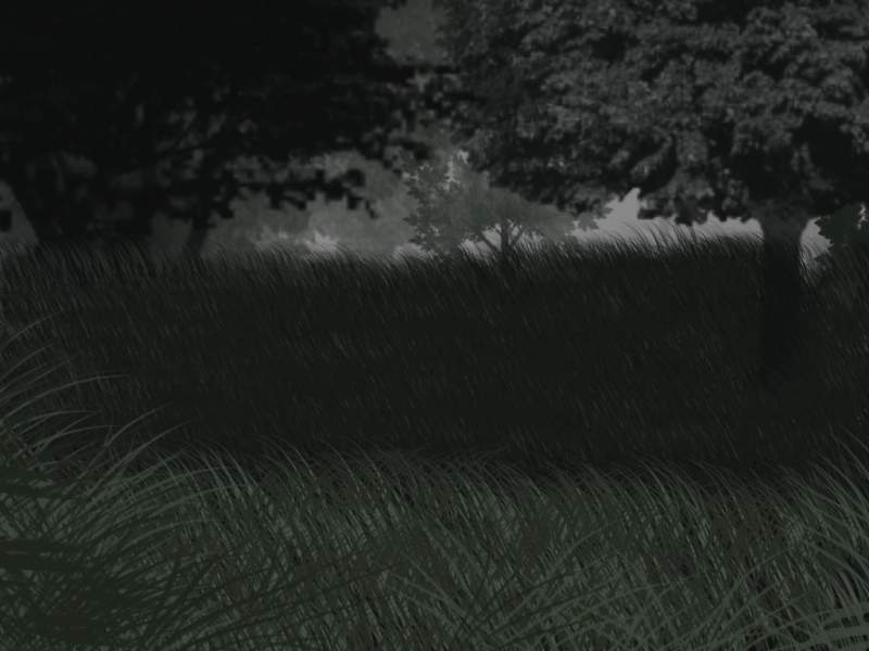 Blackened Forest