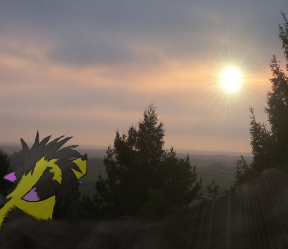 Fly me to the sun