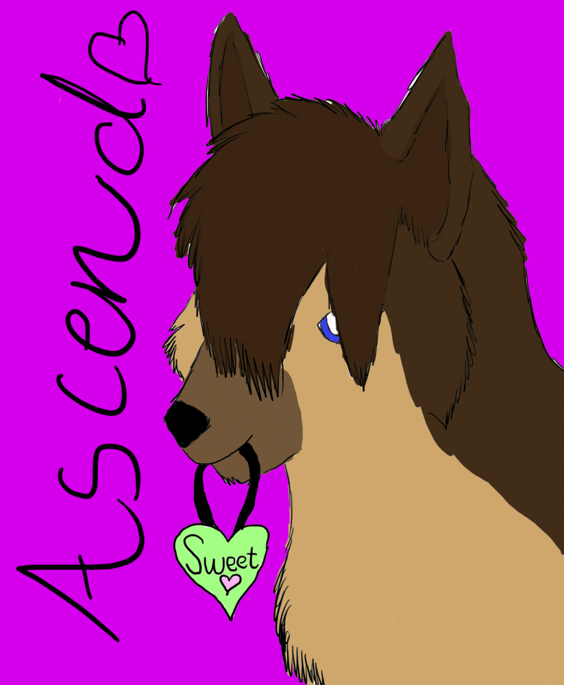 :} Sweetpetpet,