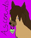 :} Sweetpetpet,