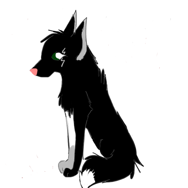 aaronsfursona,