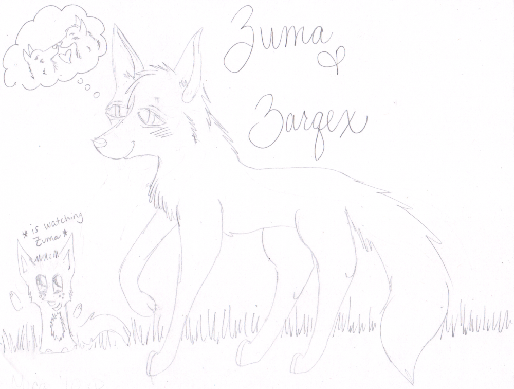 XENA&ZUMA;