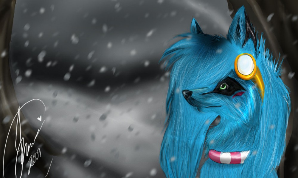 POCKER tHy WOLLFFF