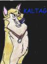 KALTAG