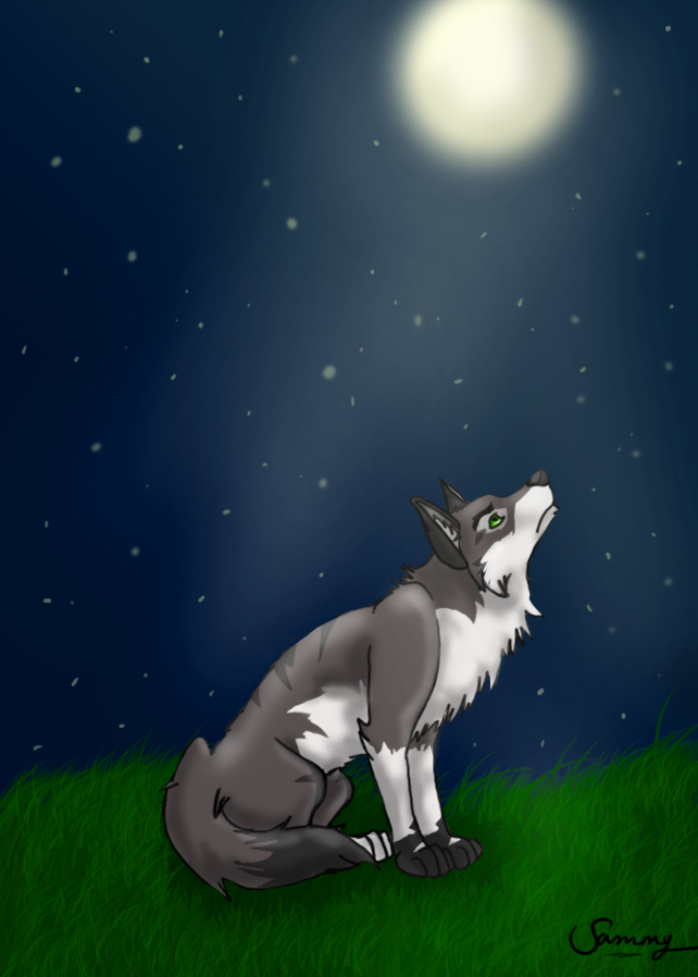 night's light