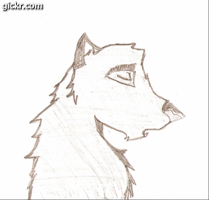 (short and upclose) animated sleeping dog
