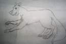 Eduardo