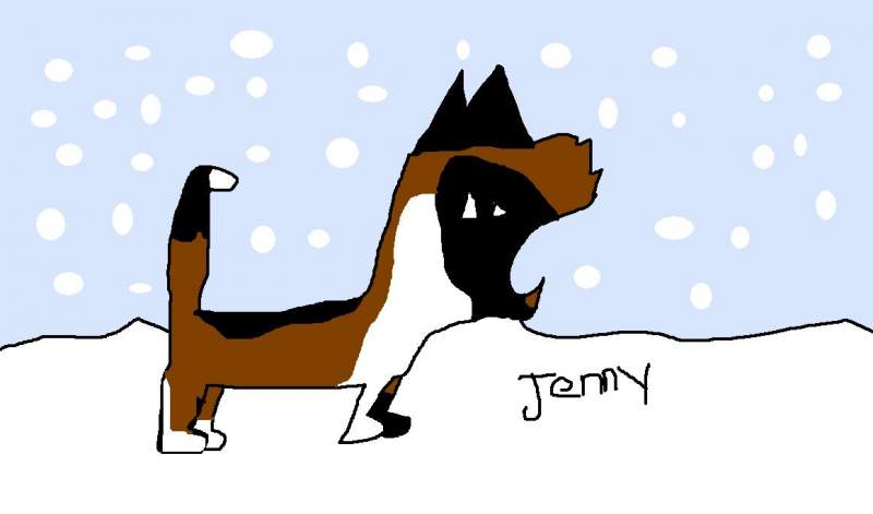 Jenny