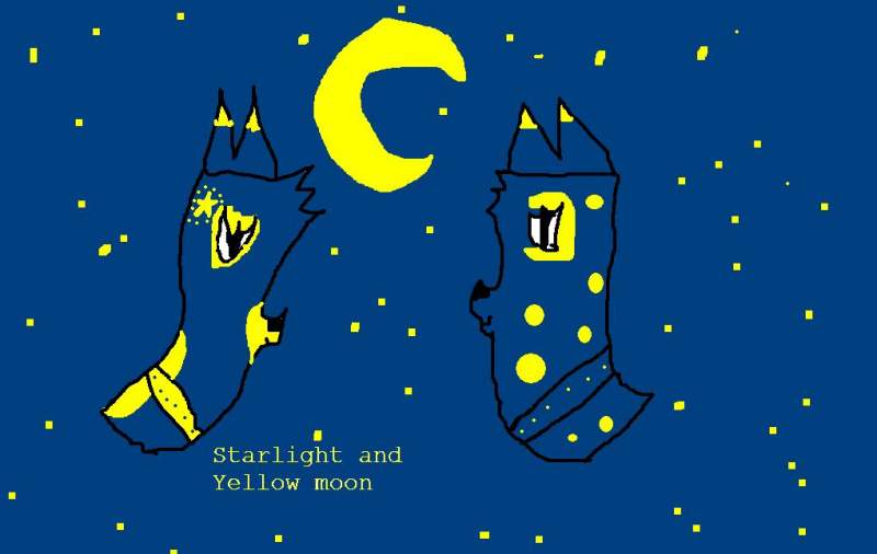 Starlight and Yellow moon