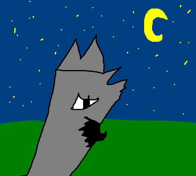 Midnight Blaze