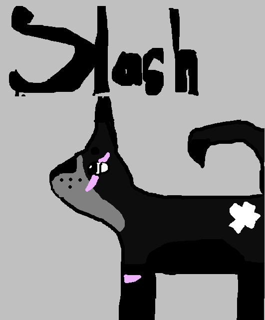 Slash