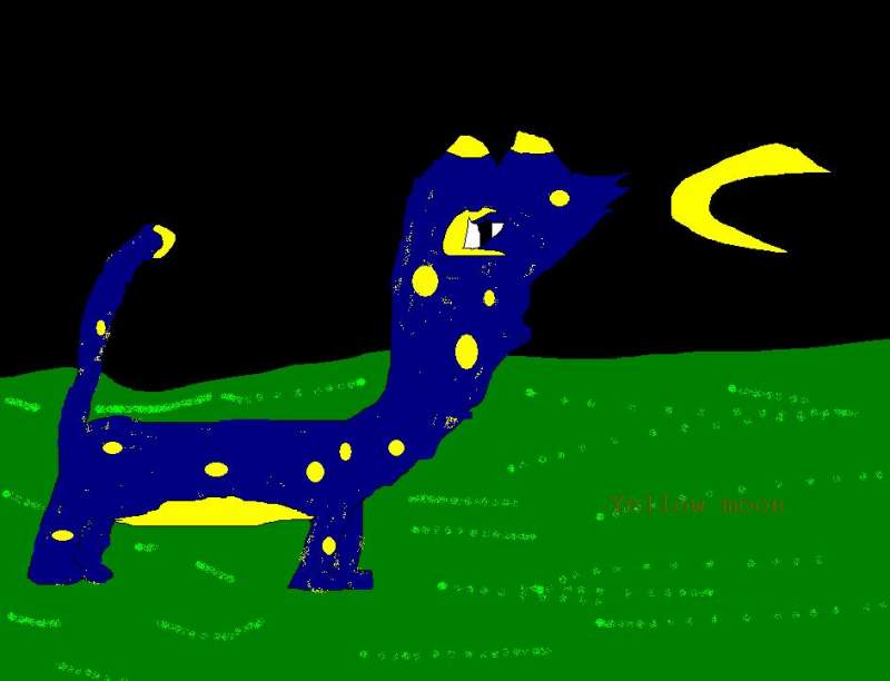 yellow moon