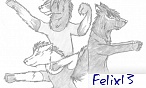 felix13