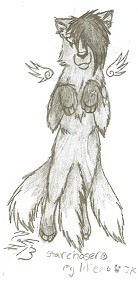 starchaser(c)