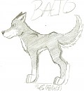 Balto