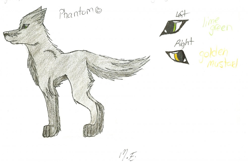 Phantom(c)